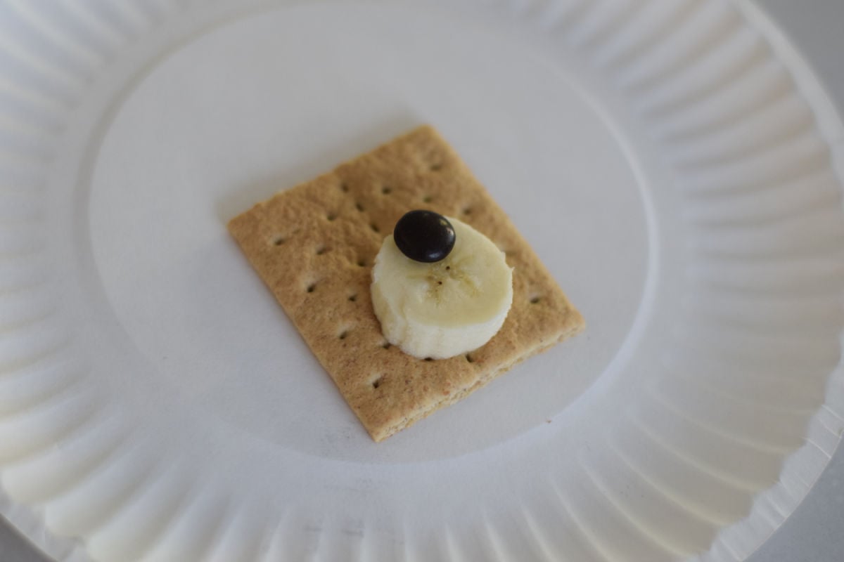 making a teddy bear snack