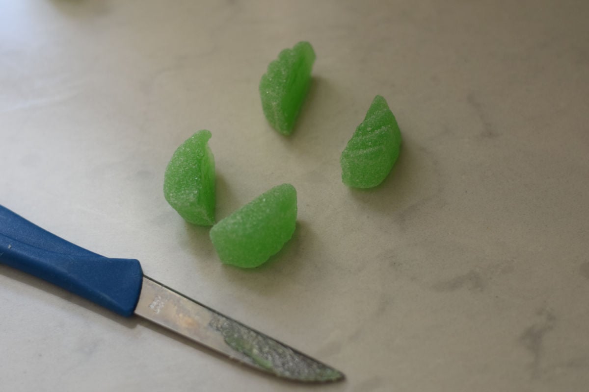 sea turtle cupcake flippers