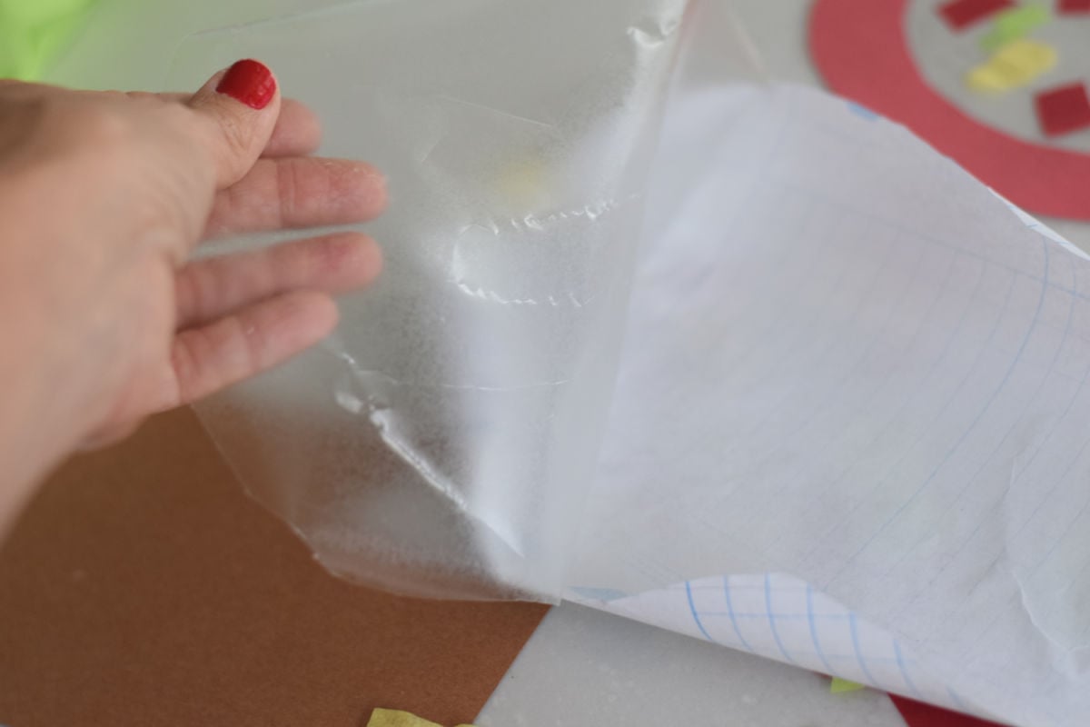 peeling contact paper for apple suncatcher craft 