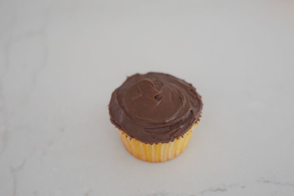 chocolate frosted cupcakes