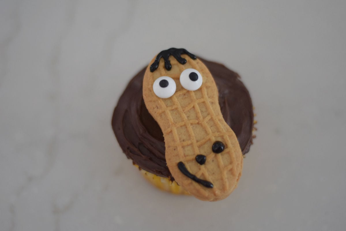 making horse cupcakes