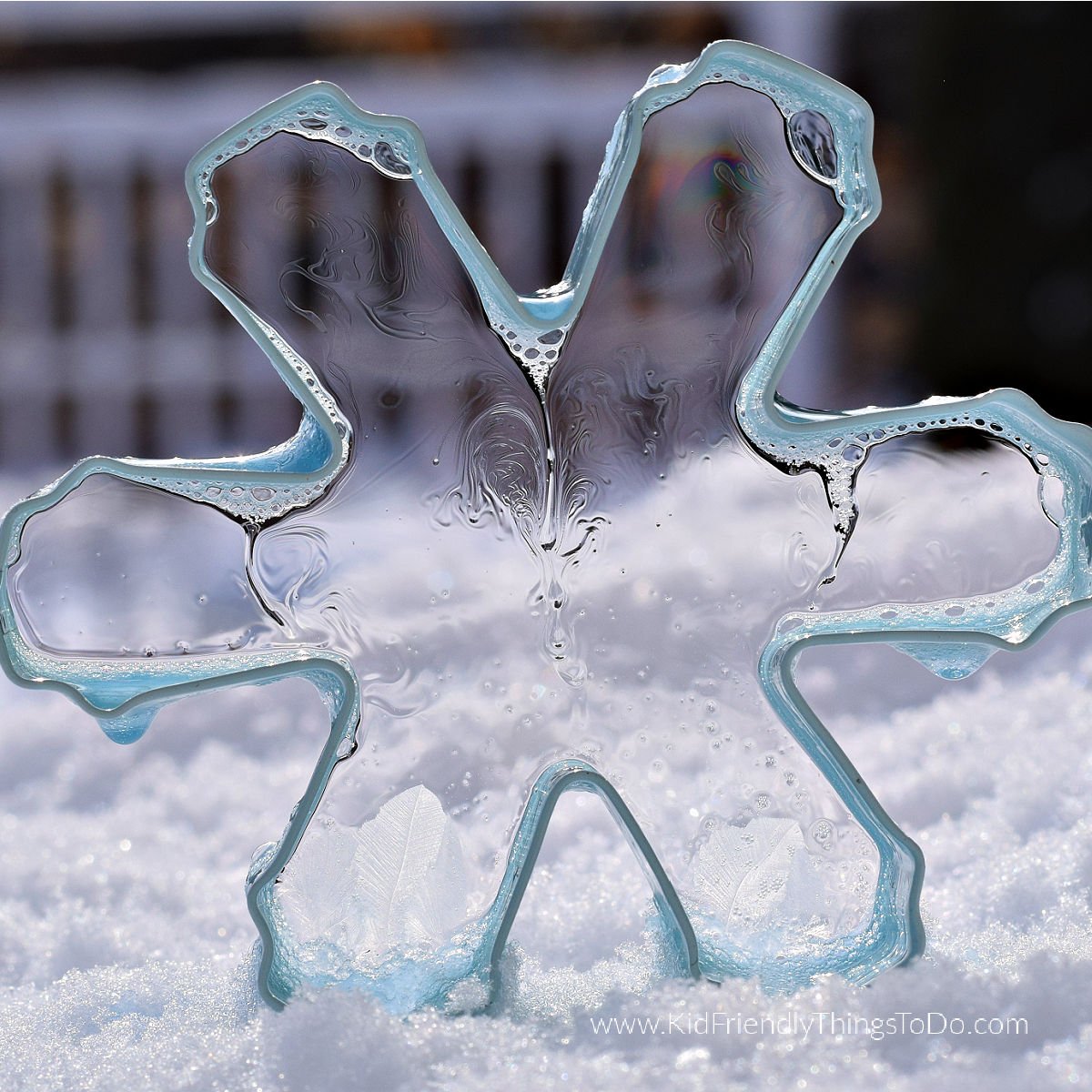 bubbles frozen in cookie cutter