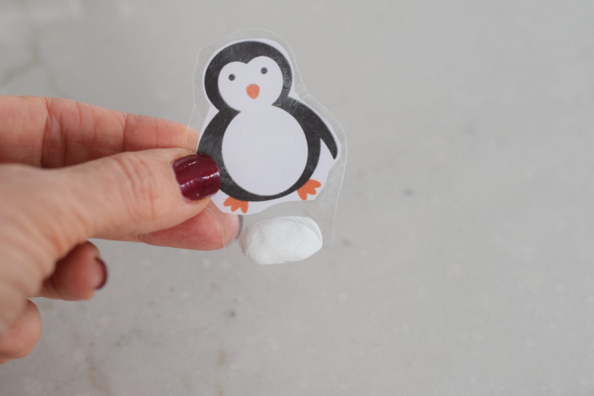 laminated penguin