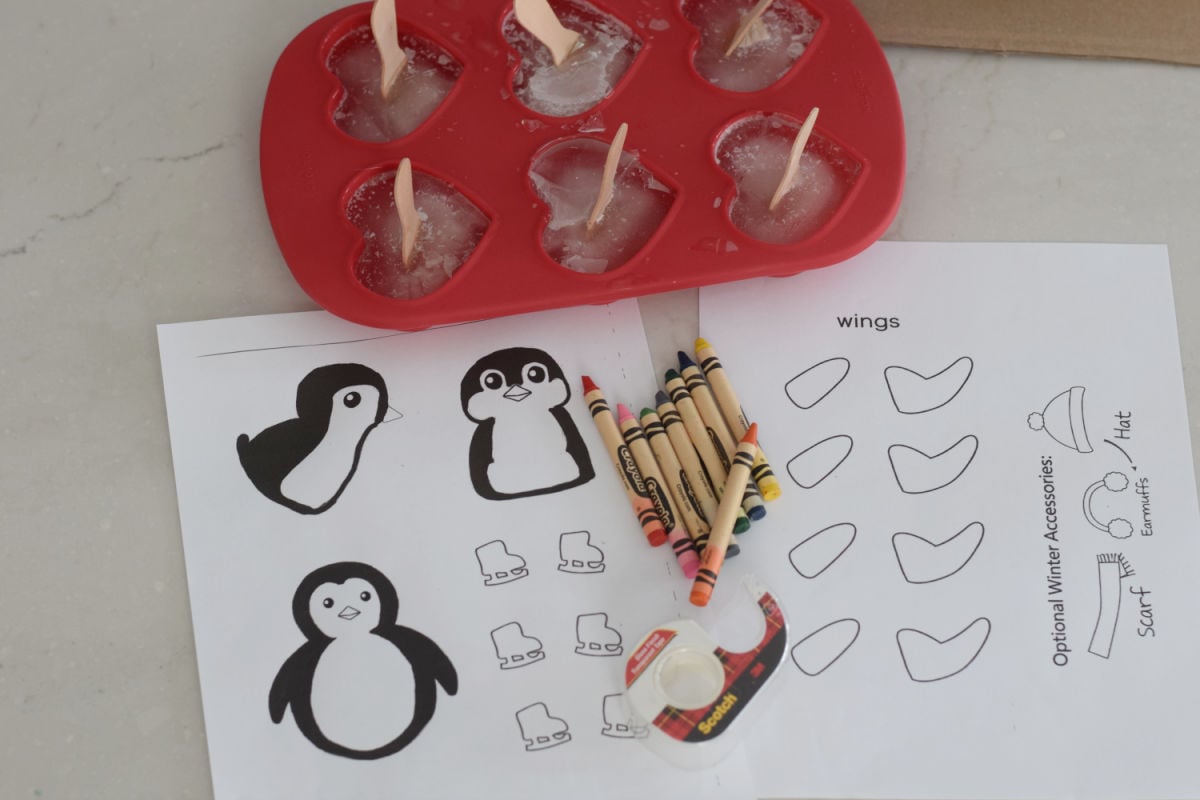 penguins on skates supplies 