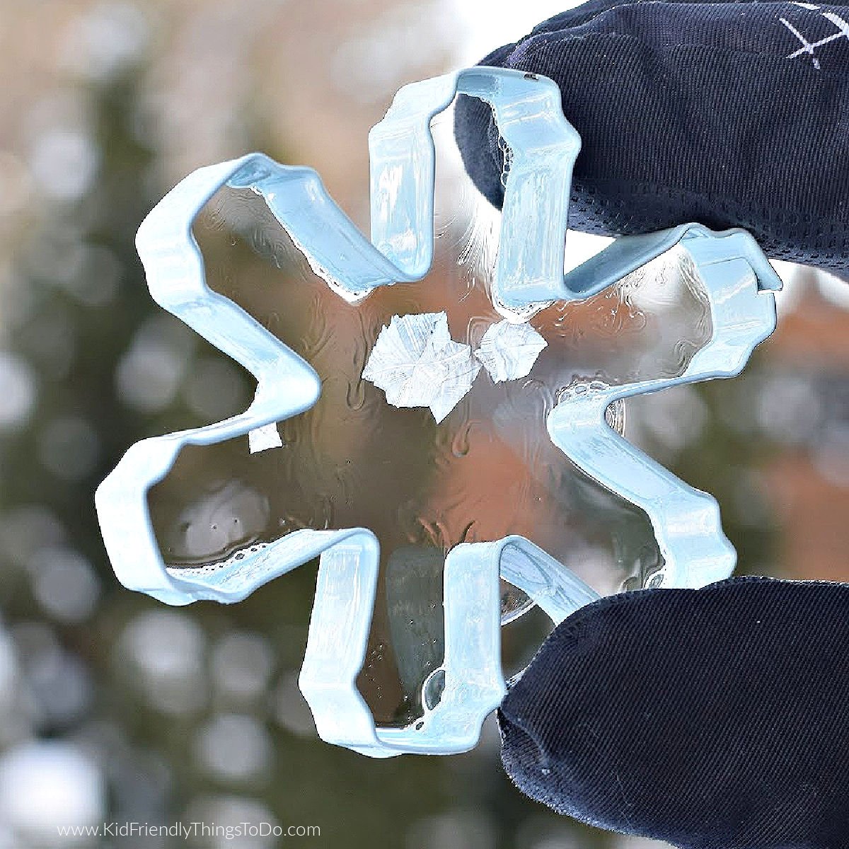 frozen bubbles in a cookie cutter