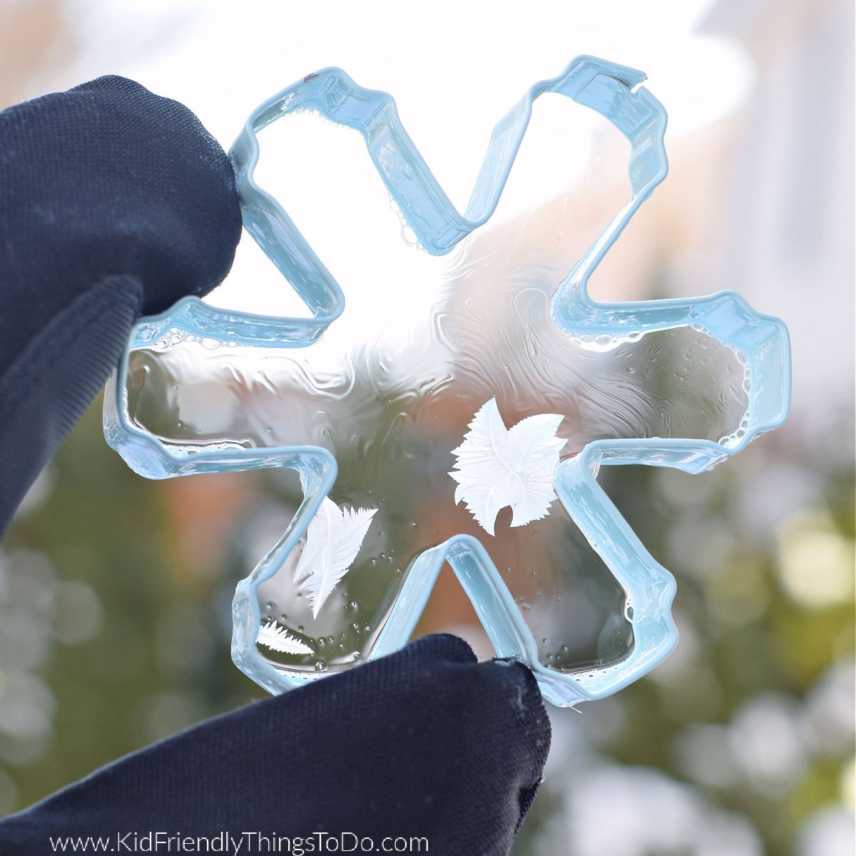 frozen bubble cookie cutter