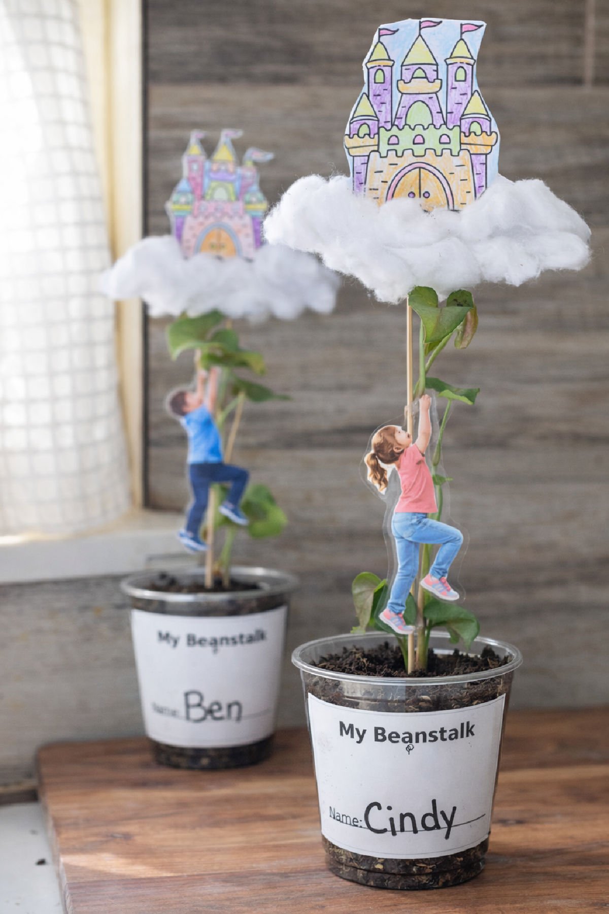 Jack and the beanstalk seed growing activity