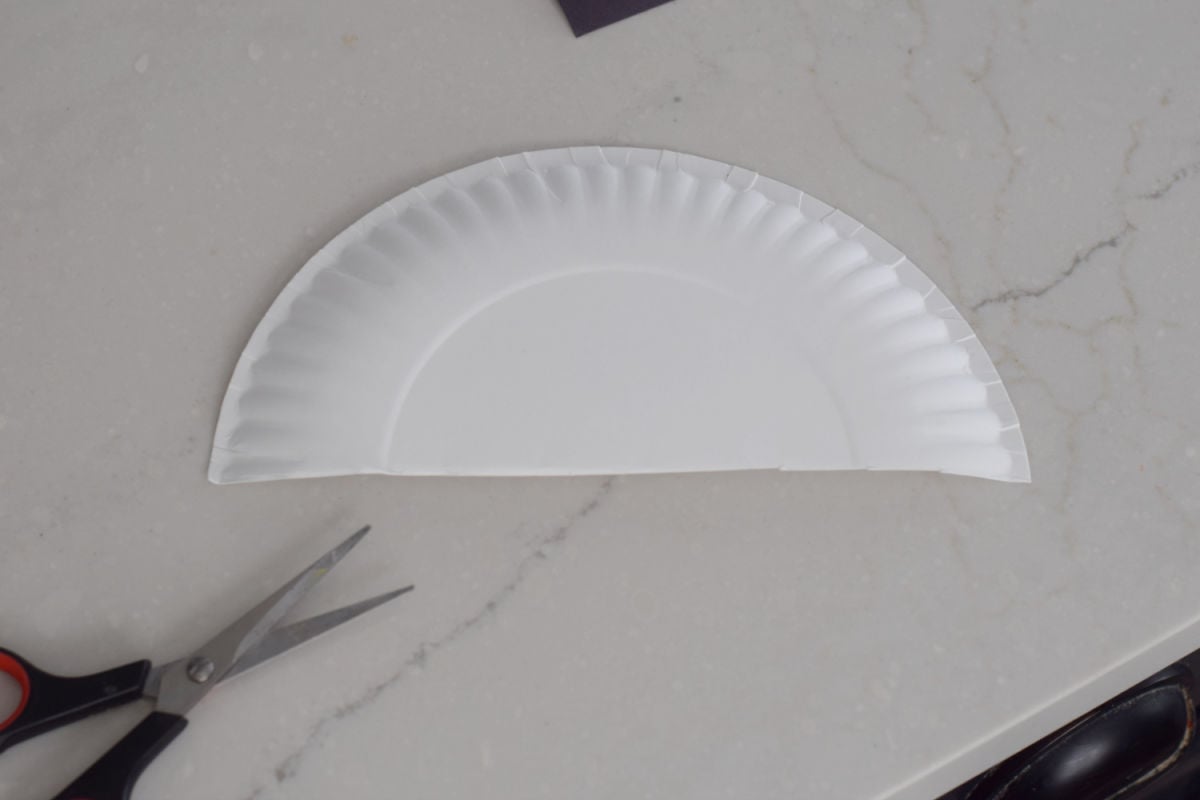half paper plate 
