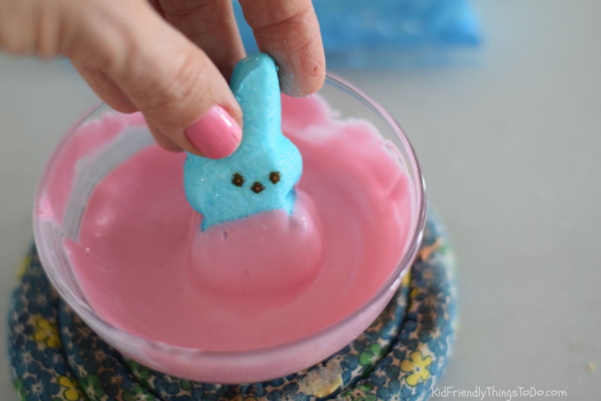 dipping Peep into chocolate