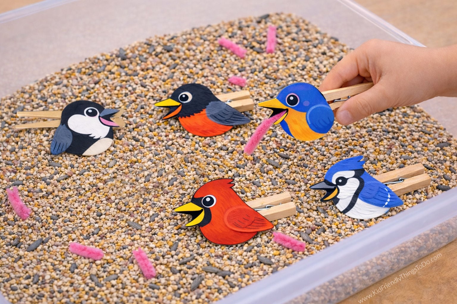 Feed the Birds fine motor activity for preschool using clothespin birds and pipe cleaner worms in a birdseed sensory bin