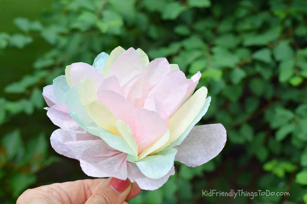 tissue paper flower with scalloped edge