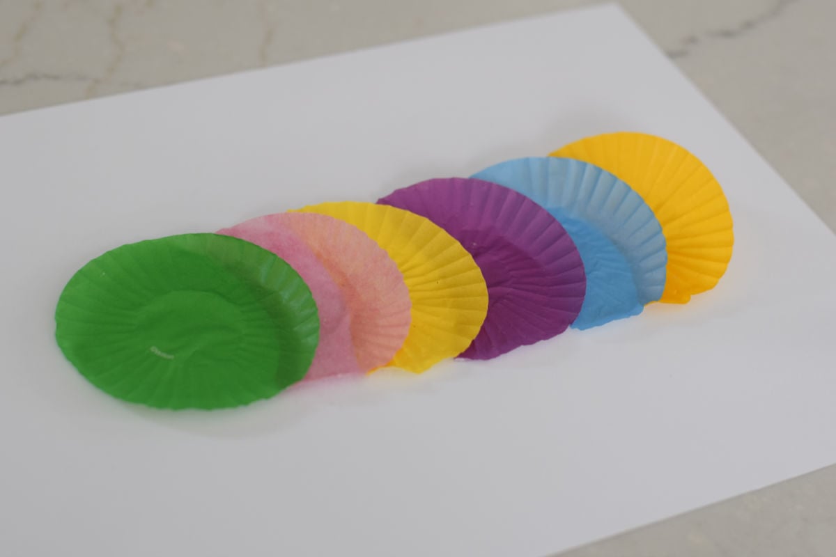 glued down cupcake wrappers for caterpillar craft 