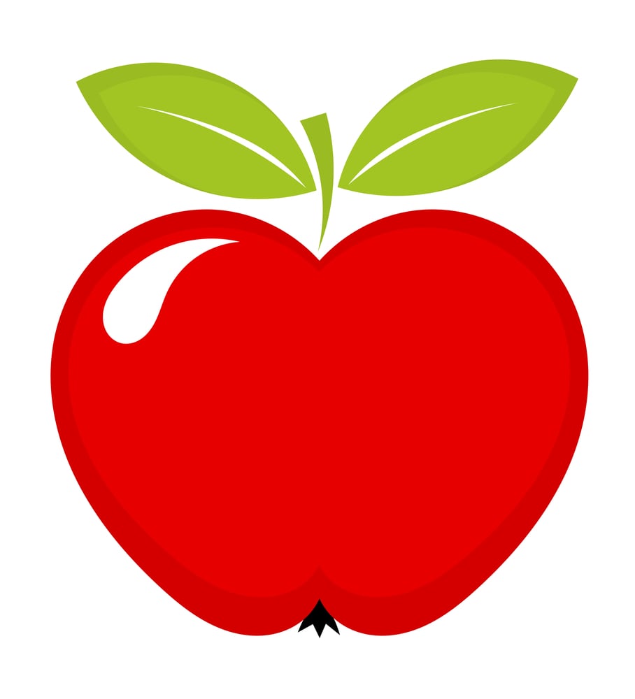 apple illustration icon 
