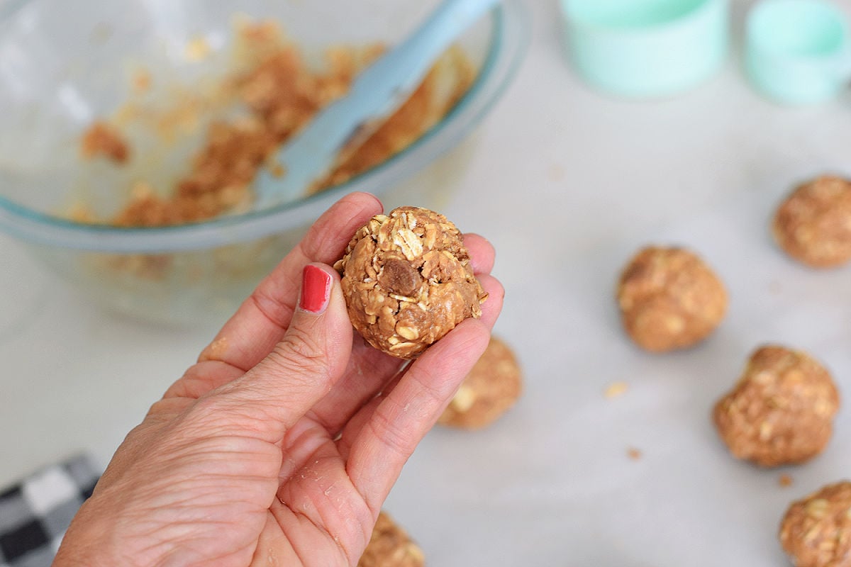 holding no-bake peanut butter chocolate protein ball in hand 
