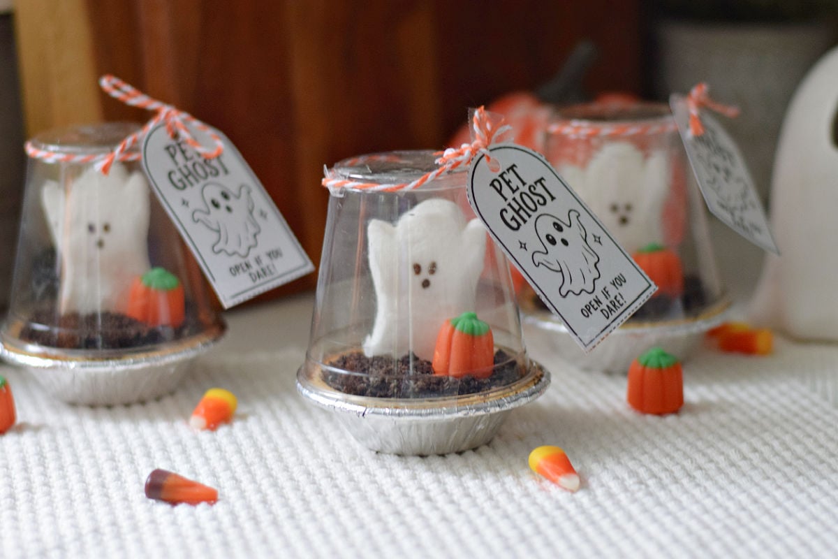 Three mini Pet Ghost pudding pies under clear plastic cups with orange twine and printable tags, surrounded by candy corn and pumpkins.